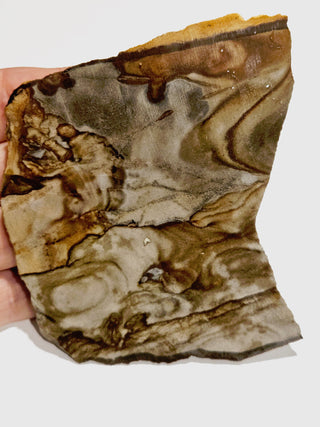 Natural Scenic Picture Jasper Slice 95gms Genuine Gems Gemstone G6