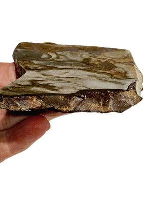 Natural Scenic Picture Jasper Slice 95gms Genuine Gems Gemstone G6