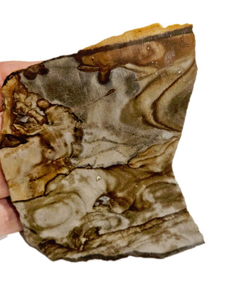 Natural Scenic Picture Jasper Slice 95gms Genuine Gems Gemstone G6
