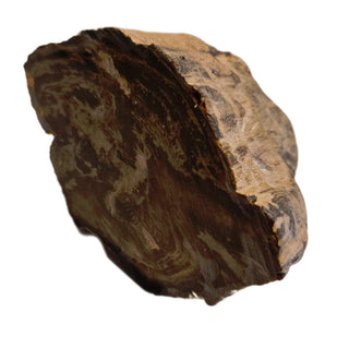 Petrified Wood Specimen From Branch 1.22kgs Intricate Genuine Gems Gemstone G6