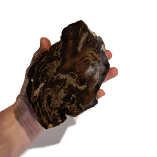 Petrified Wood Specimen From Branch 1.22kgs Intricate Genuine Gems Gemstone G6
