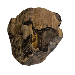 Petrified Wood Specimen From Branch 1.22kgs Intricate Genuine Gems Gemstone G6