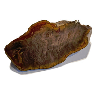 Petrified Wood Specimen Chunk 896gms Intricate Genuine Gems Gemstone G6