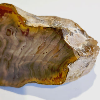 Petrified Wood Specimen Chunk 896gms Intricate Genuine Gems Gemstone G6