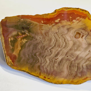 Petrified Wood Specimen Chunk 896gms Intricate Genuine Gems Gemstone G6