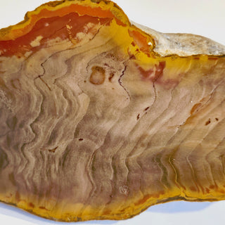Petrified Wood Specimen Chunk 896gms Intricate Genuine Gems Gemstone G6