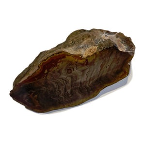 Petrified Wood Specimen Chunk 896gms Intricate Genuine Gems Gemstone G6