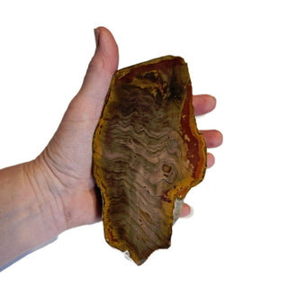 Petrified Wood Specimen Chunk 896gms Intricate Genuine Gems Gemstone G6