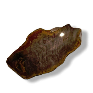 Petrified Wood Specimen Chunk 896gms Intricate Genuine Gems Gemstone G6