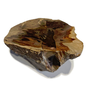Petrified Wood Specimen Chunk 545gms Intricate Genuine Gems Gemstone G6