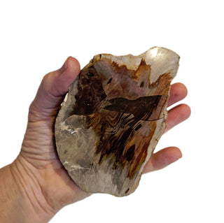 Petrified Wood Specimen Chunk 545gms Intricate Genuine Gems Gemstone G6
