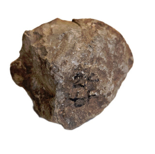 Petrified Wood Specimen Chunk 545gms Intricate Genuine Gems Gemstone G6