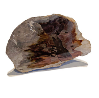 Petrified Wood Specimen Chunk 545gms Intricate Genuine Gems Gemstone G6