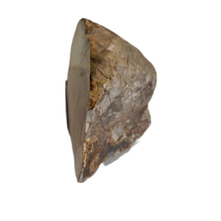 Petrified Wood Specimen Chunk 545gms Intricate Genuine Gems Gemstone G6
