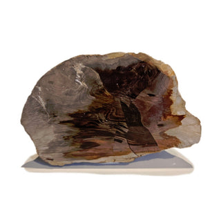 Petrified Wood Specimen Chunk 545gms Intricate Genuine Gems Gemstone G6