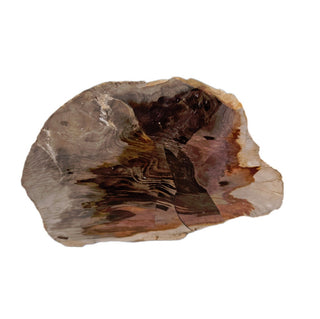 Petrified Wood Specimen Chunk 545gms Intricate Genuine Gems Gemstone G6