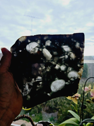 African Bloodstone Slice Polished HUGE 362gms Genuine Gems Gemstone G6