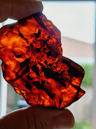 Natural Amber 31gm Genuine Gems Gemstone Rare Unusual  H1