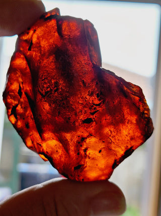 Natural Amber 31gm Genuine Gems Gemstone Rare Unusual  H1
