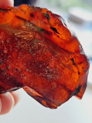 Natural Amber 31gm Genuine Gems Gemstone Rare Unusual  H1