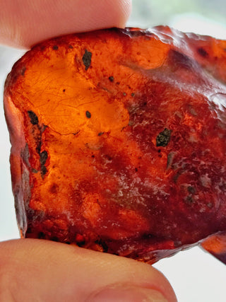 Natural Amber 31gm Genuine Gems Gemstone Rare Unusual  H1