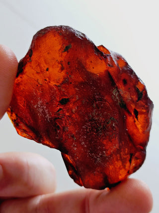 Natural Amber 31gm Genuine Gems Gemstone Rare Unusual  H1