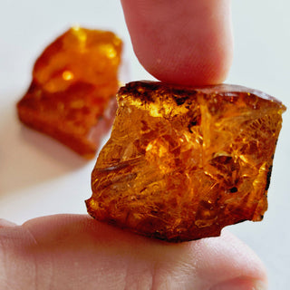 Natural Amber 5 Pieces 35gm Genuine Gems Gemstone Rare Unusual  H1