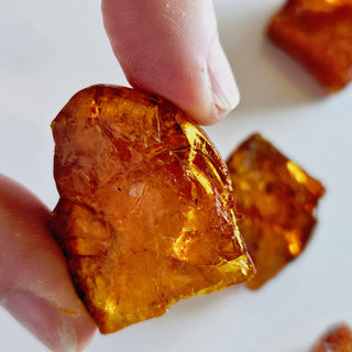 Natural Amber 5 Pieces 35gm Genuine Gems Gemstone Rare Unusual  H1