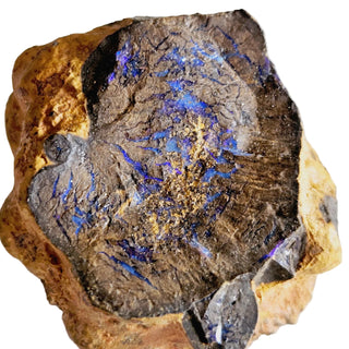 Yowah Opal Purple Nodule 65gm Vibrant Colour threads and Banding Matrix G3