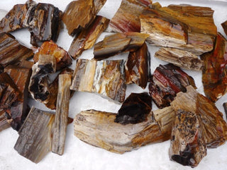 Petrified Wood 4kg Bulk Lot Genuine Australian Gemstones Chinchilla Specimens