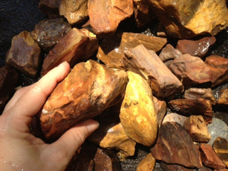 Petrified Wood 4kg Bulk Lot Genuine Australian Gemstones Chinchilla Specimens