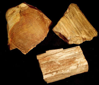 Petrified Wood 4kg Bulk Lot Genuine Australian Gemstones Chinchilla Specimens