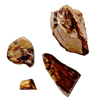 4 x Opalised Petrified Wood Tree Chacedony 516g Genuine Gems Gemstone G3