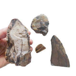 4 x Opalised Petrified Wood Tree Chacedony 516g Genuine Gems Gemstone G3