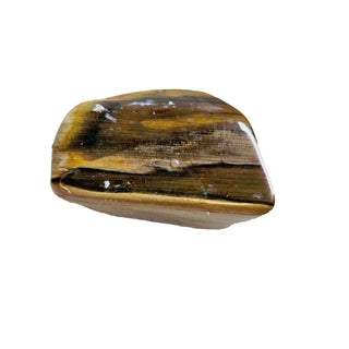 4 x Opalised Petrified Wood Tree Chacedony 516g Genuine Gems Gemstone G3