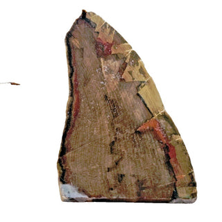4 x Opalised Petrified Wood Tree Chacedony 516g Genuine Gems Gemstone G3