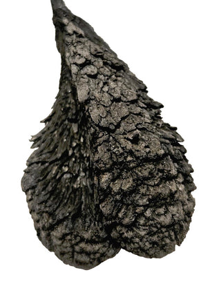 Mystery Metallic Mineral Specimen Rare Magnesium Dendrite Silica Carbide 34g H1