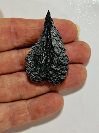 Mystery Metallic Mineral Specimen Rare Magnesium Dendrite Silica Carbide 34g H1