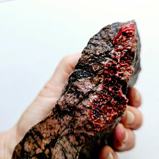 Huge Chunk Rhodonite/Dark Pink 1.04kgs Australian Natural Genuine G3