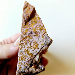 Rare Orbicular Ocean Jasper Stunning Pinks Patterns Crystal Geode Inclusions G1