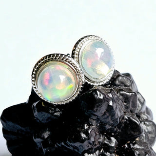 Solid Opal Stud Round Earrings Twist 8mm Australian Genuine Gems Silver RRP$160