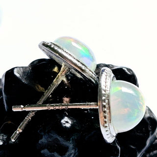 Solid Opal Stud Round Earrings Twist 8mm Australian Genuine Gems Silver RRP$160