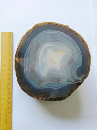 Huge Polished Agate Geode Half Natural Banded Gemstone 1840g 140mm G2