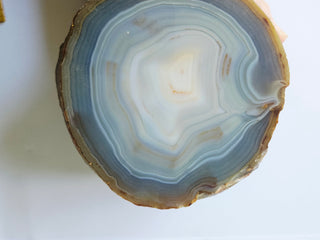 Huge Polished Agate Geode Half Natural Banded Gemstone 1840g 140mm G2