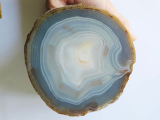 Huge Polished Agate Geode Half Natural Banded Gemstone 1840g 140mm G2