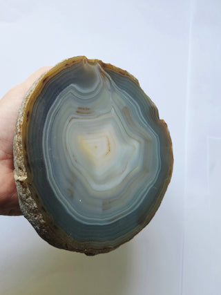 Huge Polished Agate Geode Half Natural Banded Gemstone 1840g 140mm G2