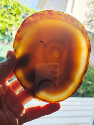 Translucent Natural Agate Slice Polished Banded Gemstone 440g 130x110mm G2