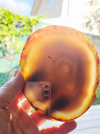 Translucent Natural Agate Slice Polished Banded Gemstone 440g 130x110mm G2