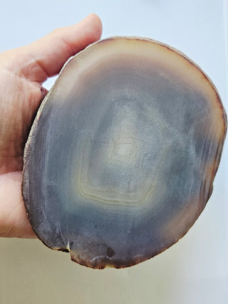 Translucent Natural Agate Slice Polished Banded Gemstone 440g 130x110mm G2