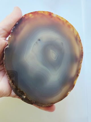 Translucent Natural Agate Slice Polished Banded Gemstone 440g 130x110mm G2